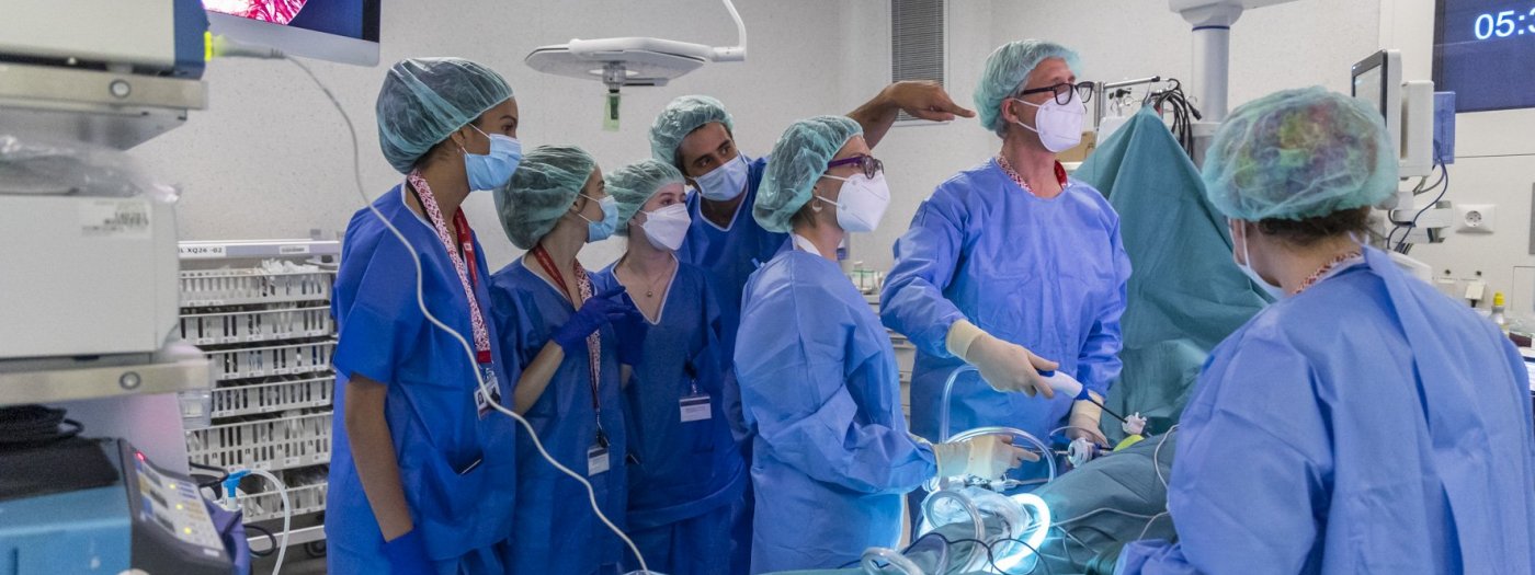 Organ Transplantation (HUB - Bellvitge University Hospital)